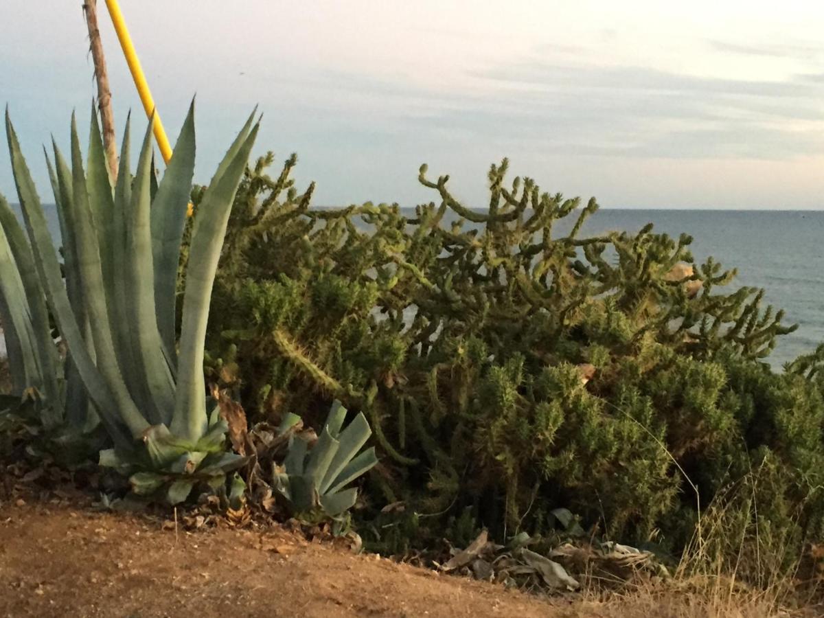 Apartment In Algarve,ヴィラモウラ エクステリア 写真